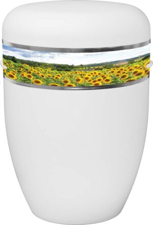 Urne weiß, Sonnenblumenfeld 10175