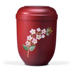 21240  Rot Kirschblüten