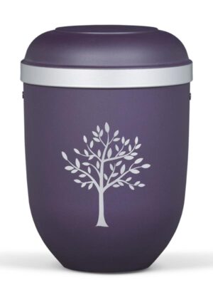 21330 B-SI  Violett Silberrand Baum