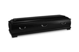 2518  Isonzo schwarz