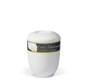 25190-PST-MI   Cremeweiß, Dekorband Calla