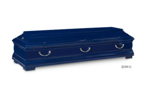 2539/G  Reno blau