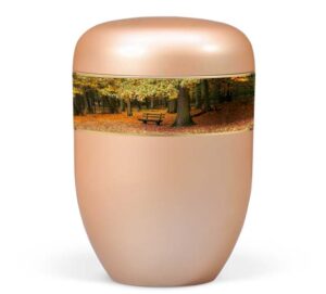 25531  Fishsilber Apricot, Dekorband