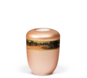 25531-MI   Fishsilber Apricot, Dekorband
