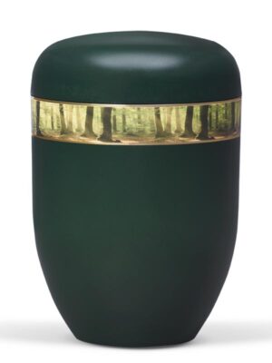 25710  Moosgrün Waldlichtung