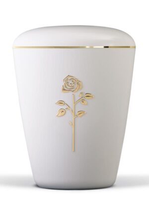 26106  Cremeweiß, Rose, Goldband