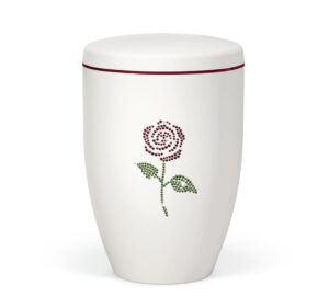 27574   Matt-Weiß, Rose