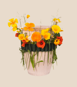 Blumenbänder