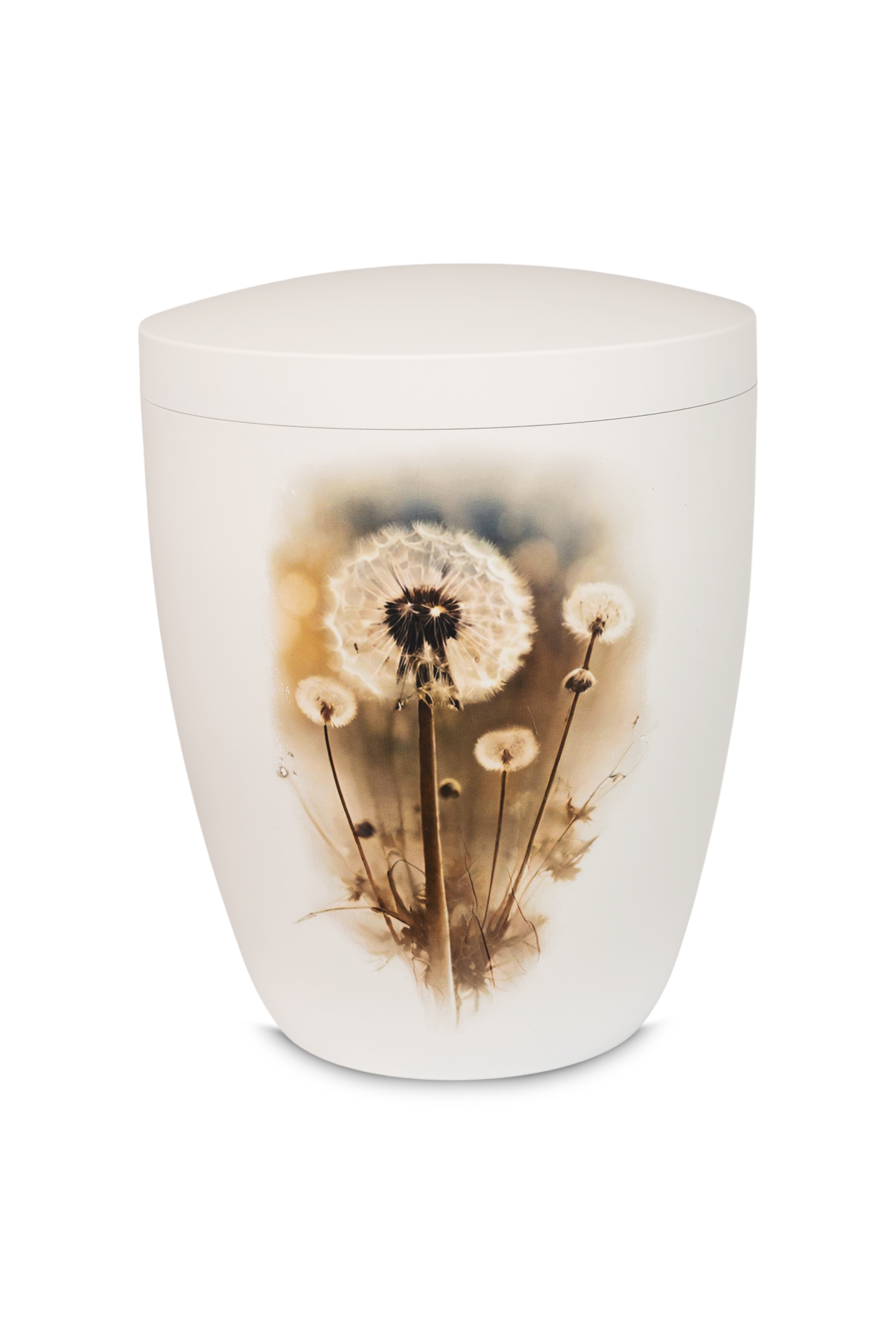 Pusteblume Urne  16 FH-2051-5