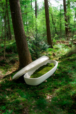 Loop Living Cocoon™ "Pilzsarg"